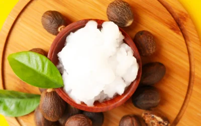 Cocoa Butter Vs. Shea Butter: The Ultimate Showdown for Dry Skin