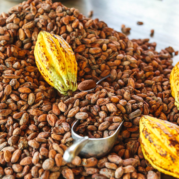Cocoa Powder Unsweetened, Shifaa Alkalized - Reddish Brown:10 -12% | Rich in Antioxidants, High Fibre & Protein | No Sugar Added | Vegan, Non-GMO | Halal & Kosher | For Baking, Drinks, Desserts – 450g - Image 6